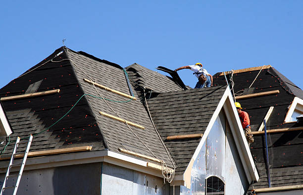 Best Gutter Installation and Roofing  in Maynardville, TN